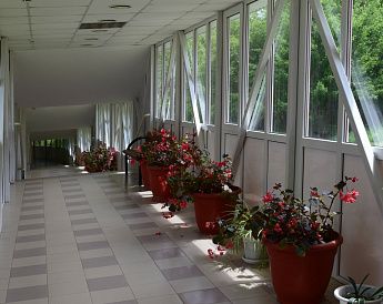 «Пикет» санаторий - фото