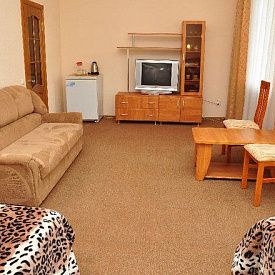 Студио 2-местный 1-комнатный (корпус 1) «Нарзан» санаторий