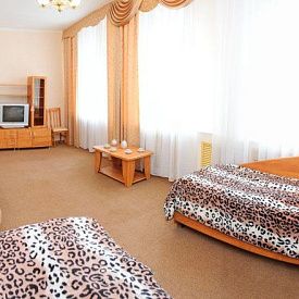 Студио 2-местный 1-комнатный (корпус 1) «Нарзан» санаторий