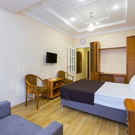 Родник Пятигорск 1-местный 1-комнатный, (корпус Б)