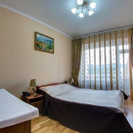 им Горького 1 категория 1-комнатный премиум