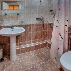 им Горького 1 категория 2-местный номер