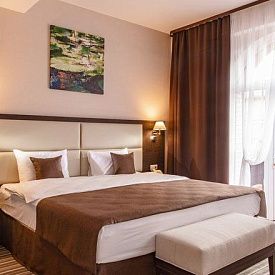 Арника Студия с террасой