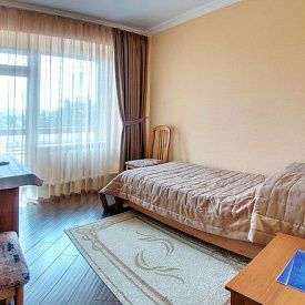 им Горького 1 категория 1-местный номер