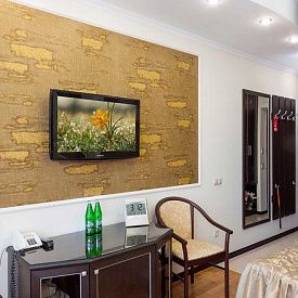 «Крепость» санаторий Кисловодск Стандартный 2-местный