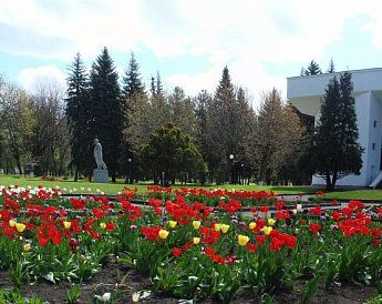 «Им. М.И. Калинина» санаторий - фото