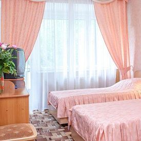 Родник Эконом 2-местный