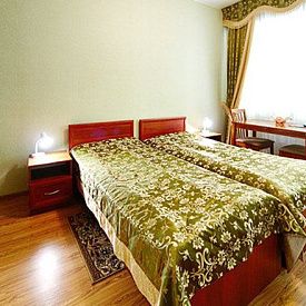 Родник Эконом 2-местный