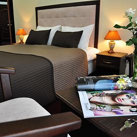 Ле Бристоль Кисловодск Стандартный 2-местный 1-комнатный DBL