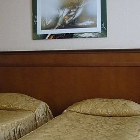 Гранд-отель Стандартный 2-местный 1-комнатный TWIN (3 этаж)