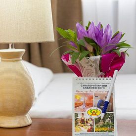 «Им. Анджиевского» санаторий ессентуки 2 категория 2-местный 1-комнатный в корп.3 (бывший корп.20)