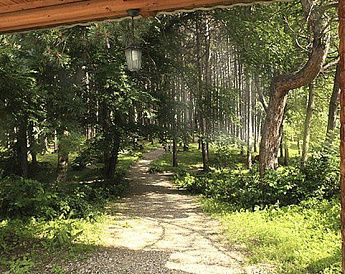 "Лесной' санаторий - фото